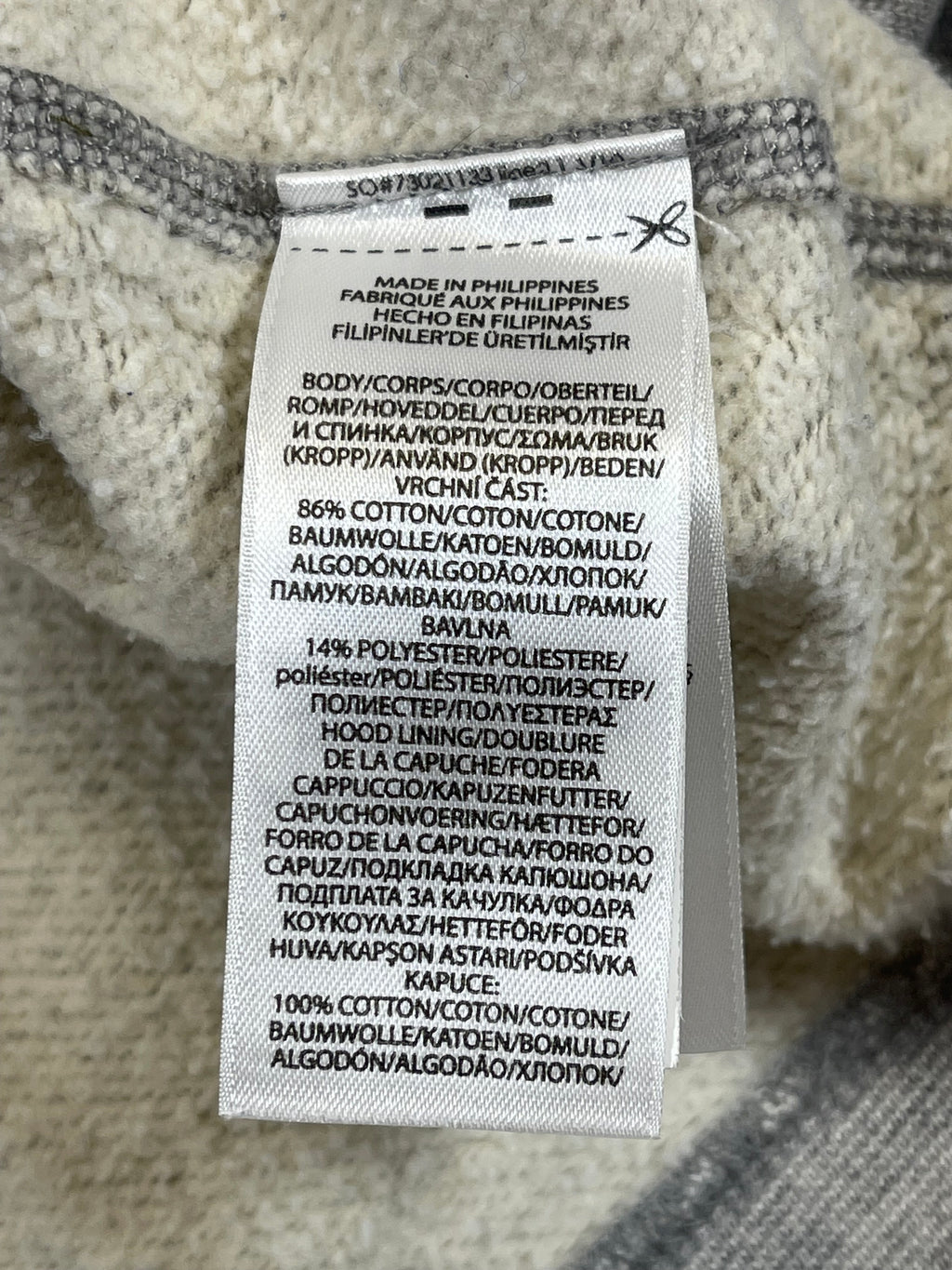 Polo Ralph Lauren Expedition Graphic Fleece Hoodie (2022)